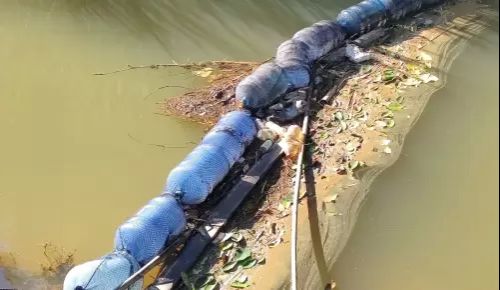 Sustentabilidade no Colégio Unificado